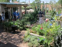 Garden & Coop Tour 2012 - City Garden with Raised Beds Garden & Coop Tour 2012 - City Garden with Raised Beds