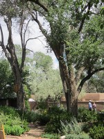 Garden & Coop Tour 2013 - Big Cottonwoods