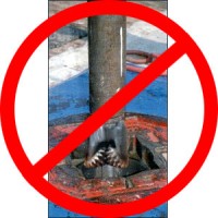 No Oil Drill Bit