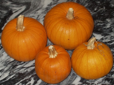 Pie Pumpkins