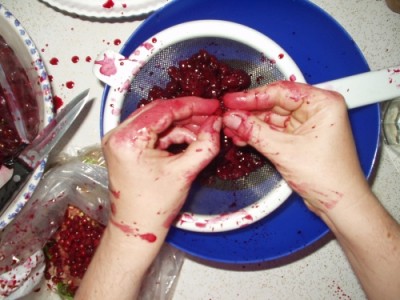 Pitting Cherries