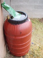 Rain Barrel overflowing with rain water