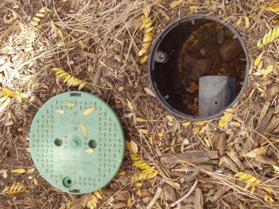 Mulched Basin for Rain and Grey Water Drain
