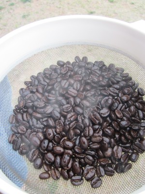 Roasting Coffee - cooling beans