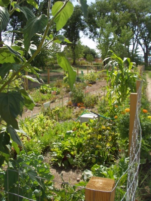Santa Fe Railyard Community Garden 2009