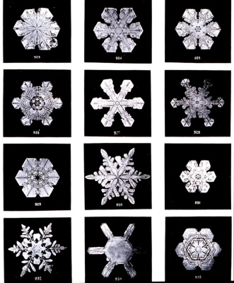 Snow Flakes