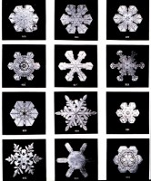 Snow Flakes