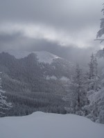 Snowy Day in the Sangre de Cristo Mountains