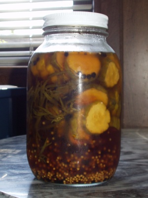 Tarragon Cucumber Pickles Tarragon Cucumber Pickles
