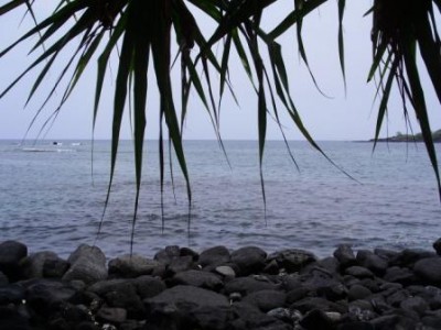 WWOOF Hawaii - Two steps to the Pacific WWOOF Hawaii - Two steps to the Pacific